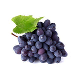 fhasellus viverra urna